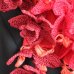 画像3: 【Limited available 数量限定】3D flowers コットンストール「水仙」スカーレット (3)